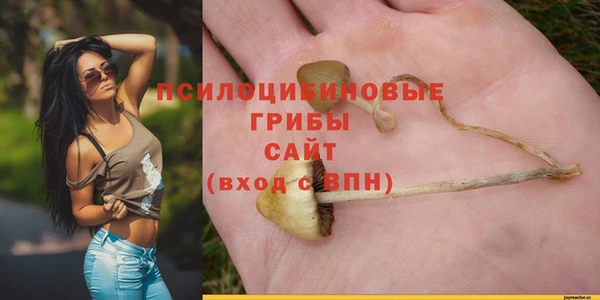 амфетамин Горнозаводск