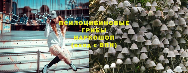 ГАЛЛЮЦИНОГЕННЫЕ ГРИБЫ Горно-Алтайск
