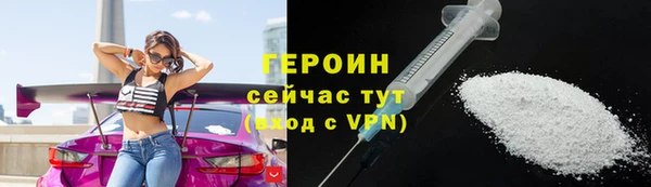 гидра Горняк