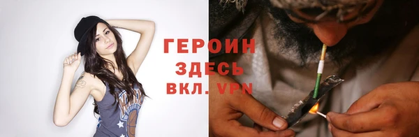 гидра Горняк