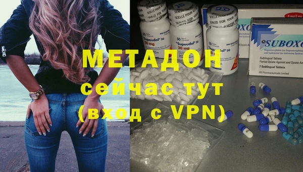 ГАЛЛЮЦИНОГЕННЫЕ ГРИБЫ Горно-Алтайск