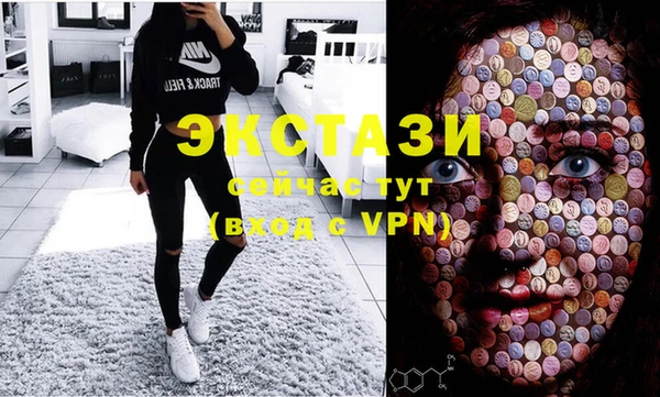 гидра Горняк