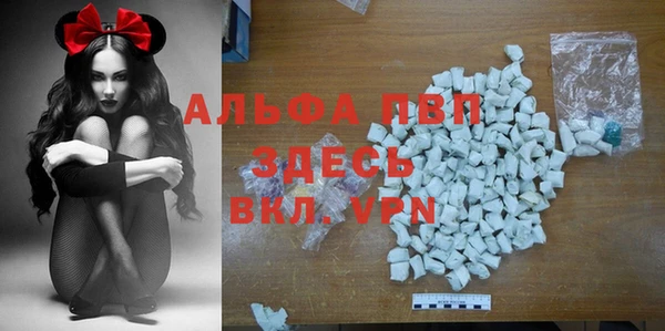 ГАЛЛЮЦИНОГЕННЫЕ ГРИБЫ Горно-Алтайск