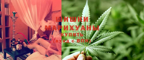 Альфа ПВП Гусев