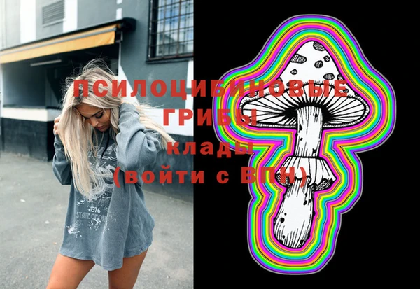 прущая мука Гусь-Хрустальный